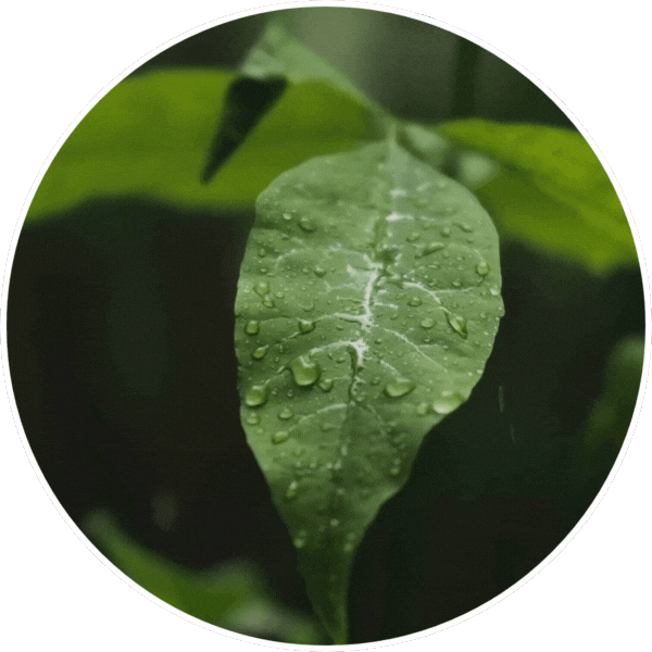 water-ecosystem-perpignan-générateur-eau-solaire-humidité-air-environnement-irrigation-ressource-hydrique-pyrénées-orientales