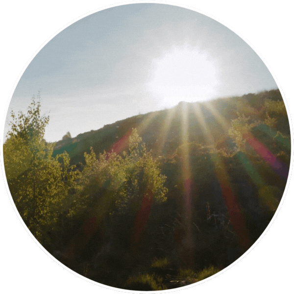 water-ecosystem-perpignan-générateur-eau-solaire-humidité-air-environnement-irrigation-ressource-hydrique-pyrénées-orientales